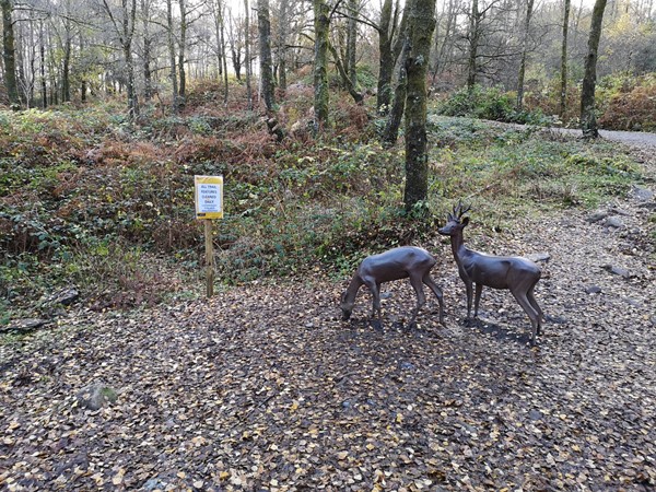 Picture of The Lodge Forest Visitor Centre, Stirling