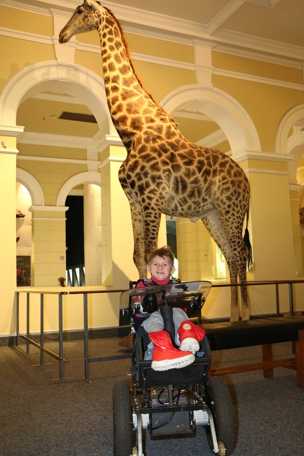 Picture of Iziko Museum - Giraffe