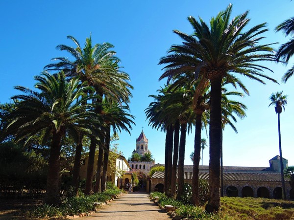 Abbey church and monastery