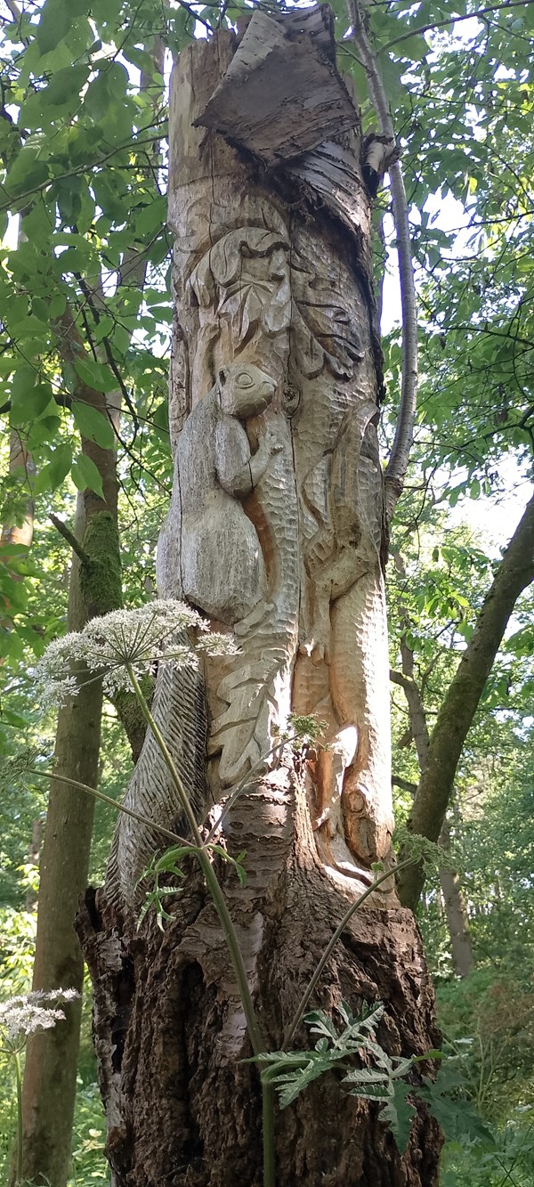 Another image of tree carvings.