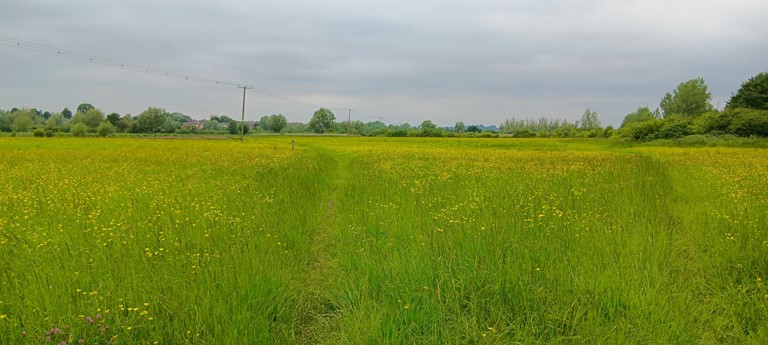 Tewkesbury Nature Reserve