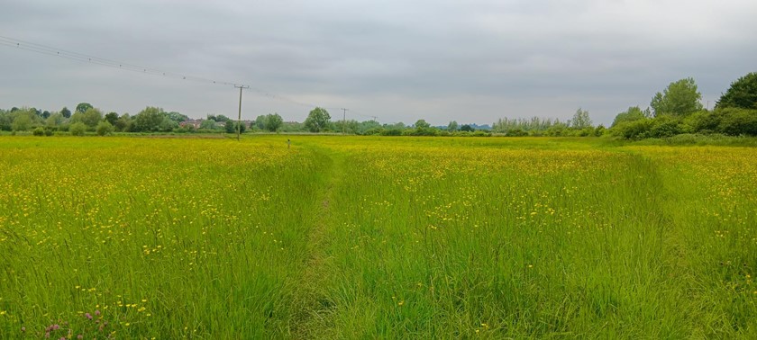 Tewkesbury Nature Reserve