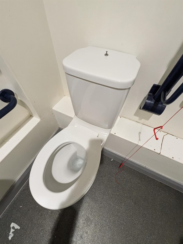 Image of the accessible toilet