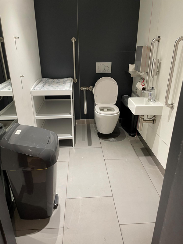 Image of a an accessible toilet with a sink and a bin