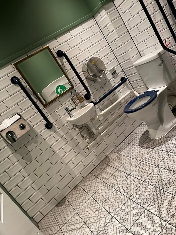 Picture of an accessible toilet