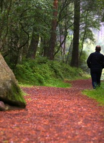 Bennachie