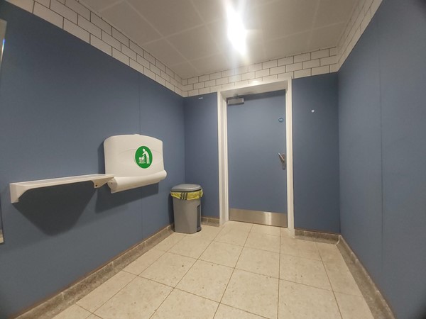 bathroom with a blue wall and a trash can