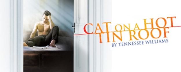 Cat on a Hot Tin Roof: Captioned Performance article image