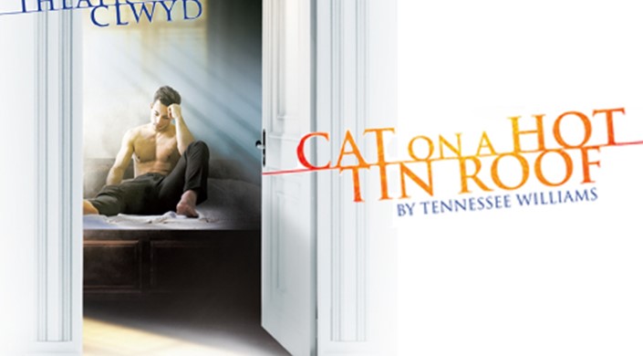 Cat on a Hot Tin Roof: Captioned Performance