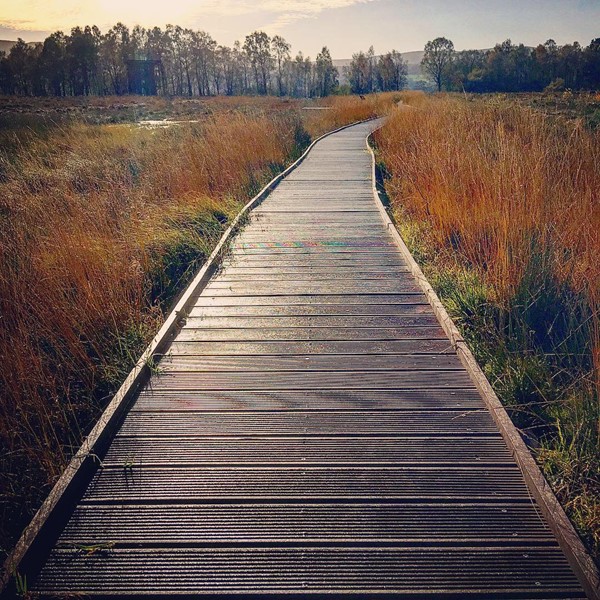 The board walk