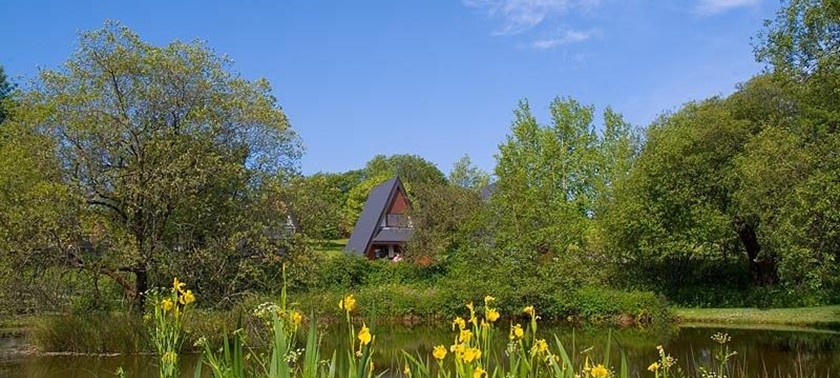 Forda Lodges and Cottages