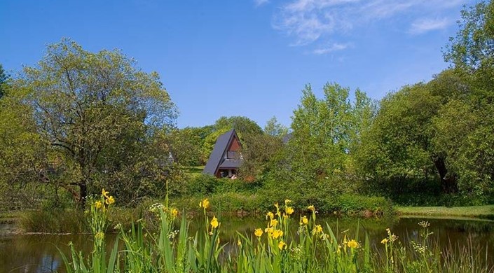 Forda Lodges and Cottages