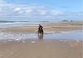 Image of a person in a wheelchair on a beach