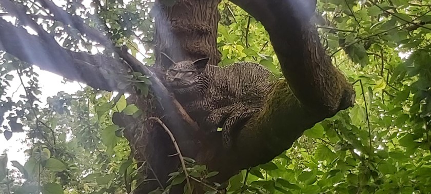 University of Oxford Botanic Garden