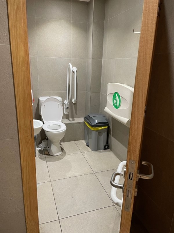 Image of an accessible toilet