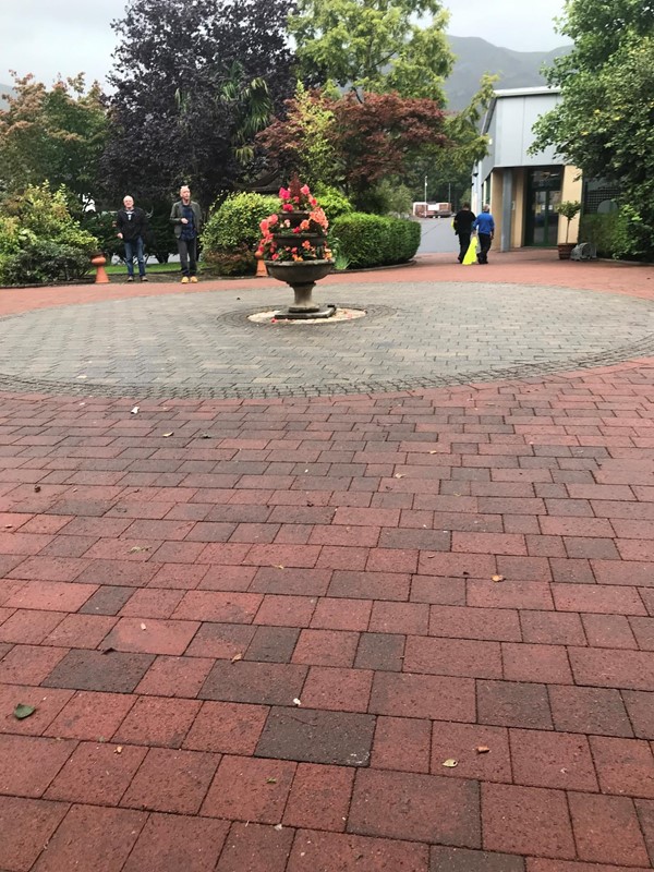 Flowers in an urn