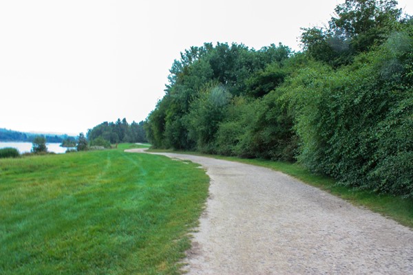 Compresse gravel track around most of the lakes.