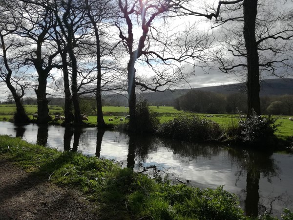 Picture of Goytre Wharf, Abergavenny