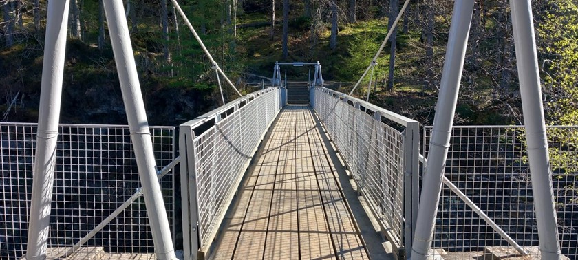 Corrieshalloch Gorge NNR