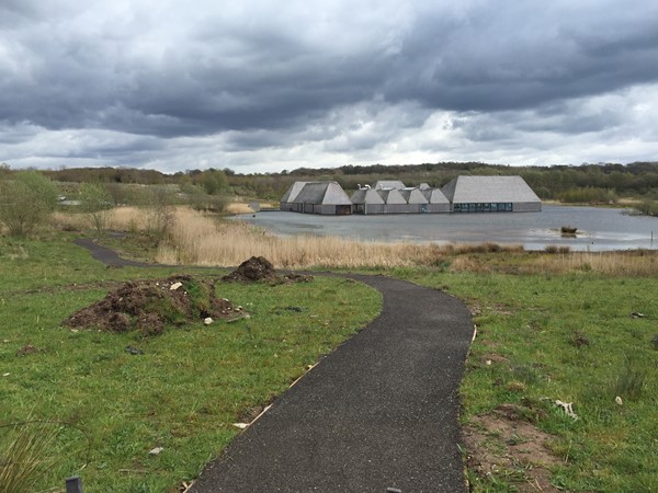 Picture of Brockholes Nature Reserve