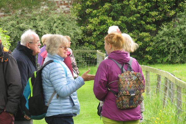 Picture of Lakeland Bird Of Prey Centre