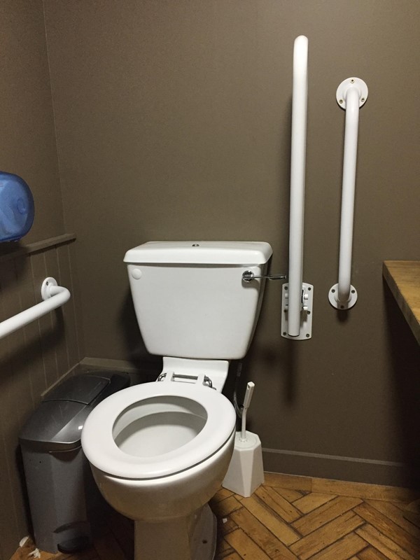 Accessible loo