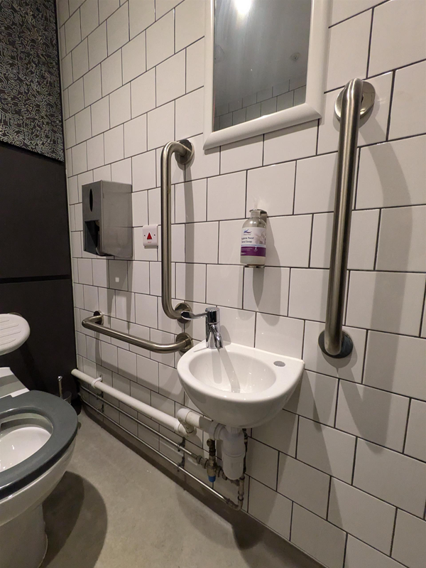 Image of sink and grab rails