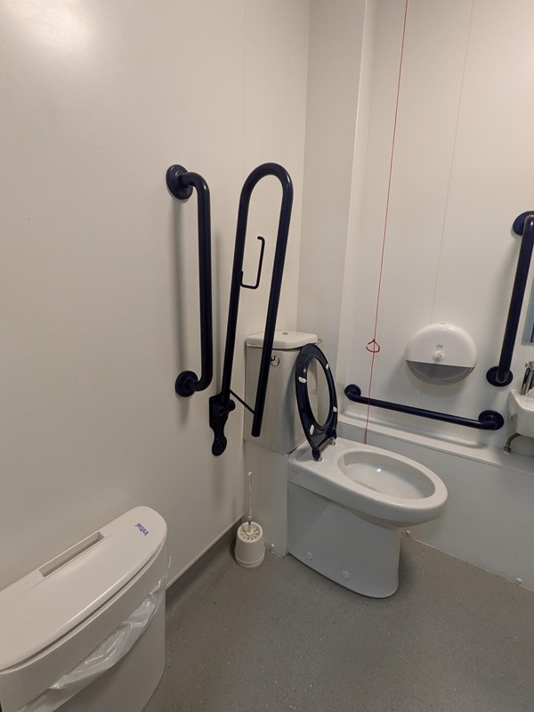 Image of a toilet and a grab rail.