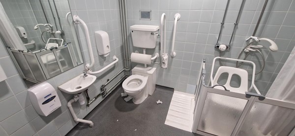 Image of accessible toilet with sink, and an accessible shower cubicle.