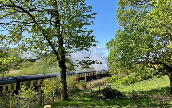 Picture of a train running adjacent to the path