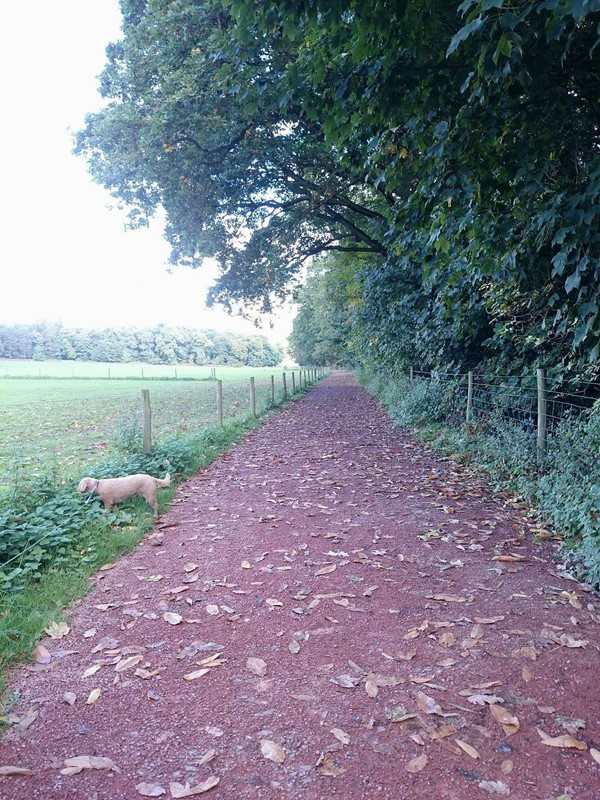 Picture of Clumber Park, Worksop