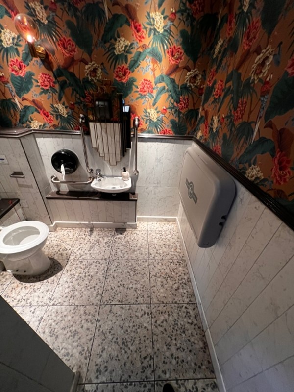 Image of an accessible toilet