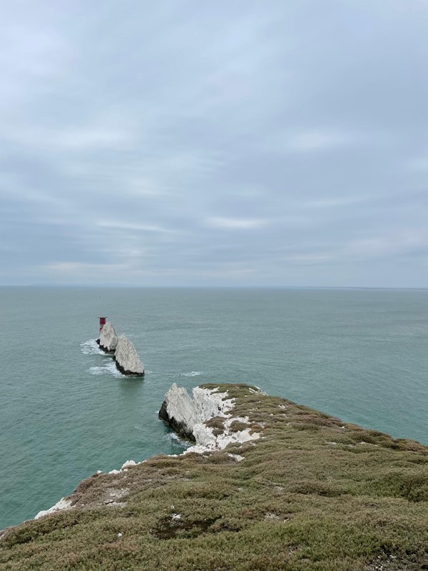 Picture of The Needles Old Battery and New Battery