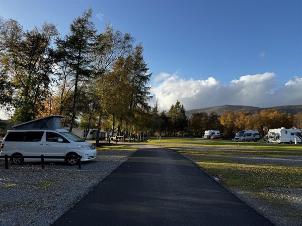 Campsite - bitumen roads and gravel hard standing pitch