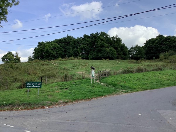 Road by some grass