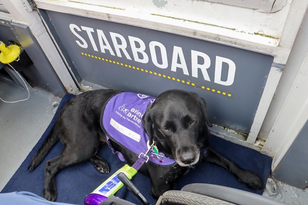 Black lab assistance dog lying on her mat by the Starboard door.