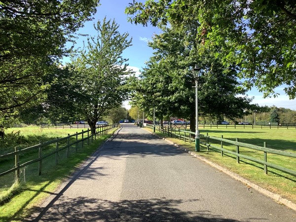 2 interesting driveway