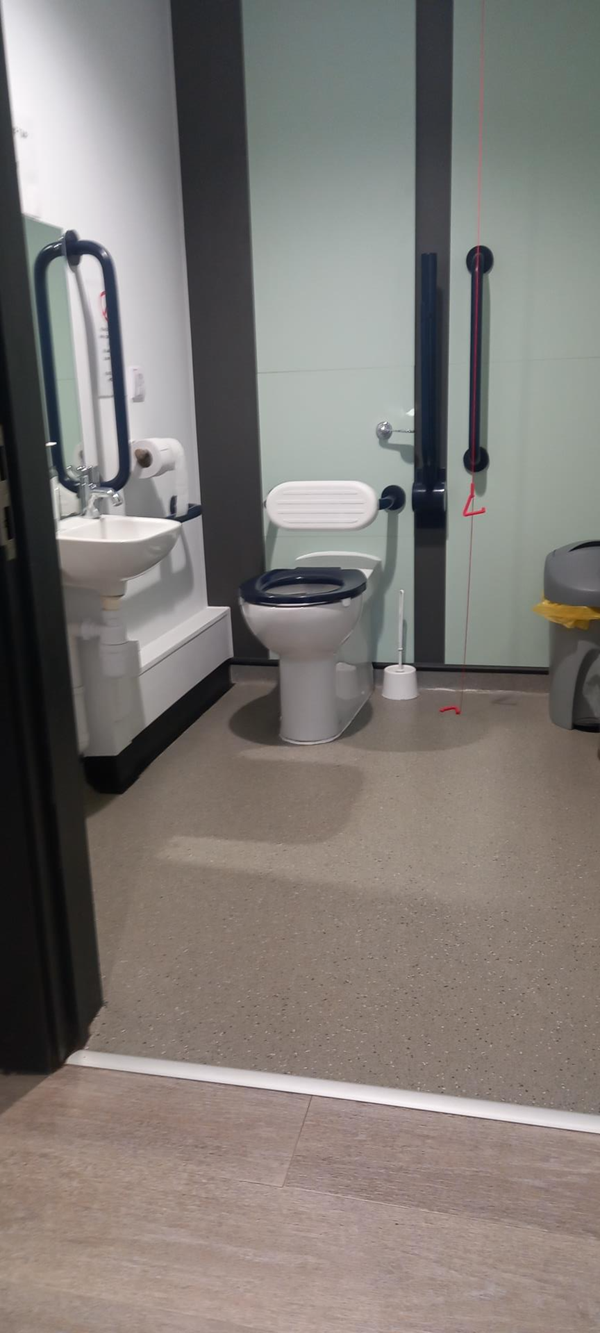 Disabled toilet within the café building.