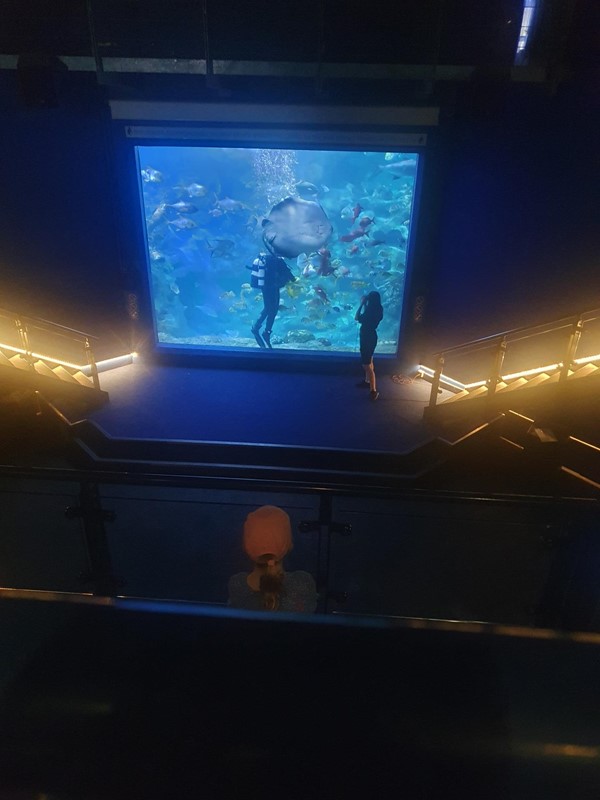 Image of a large screen with a fish on it