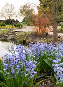 RHS Garden Hyde Hall