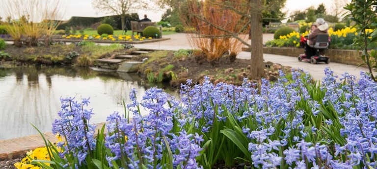 RHS Garden Hyde Hall