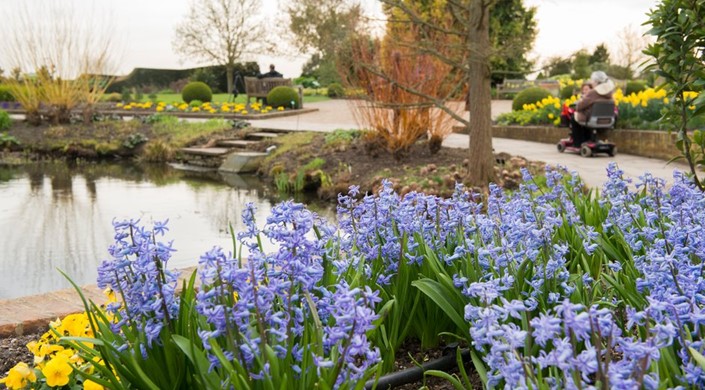 RHS Garden Hyde Hall