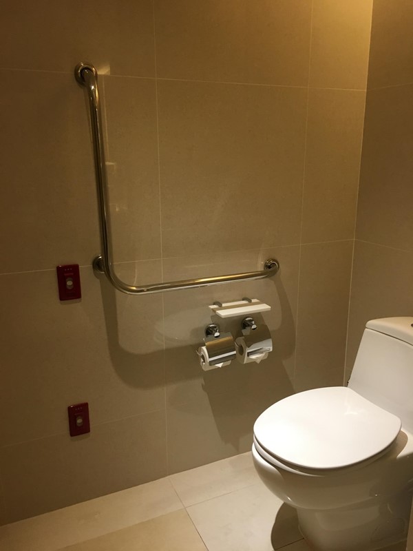 Accessible Toilet