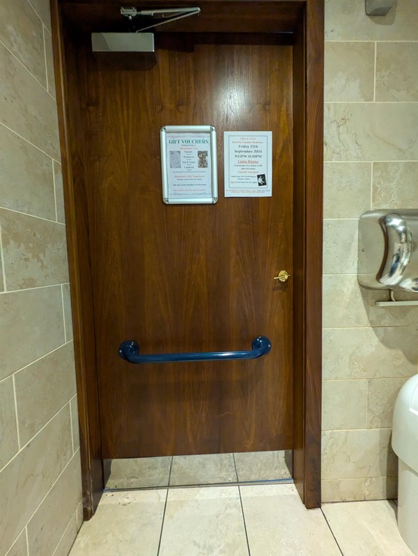 Image of the accessible toilet door from inside, there's a low blue grab rail on the brown wooden door