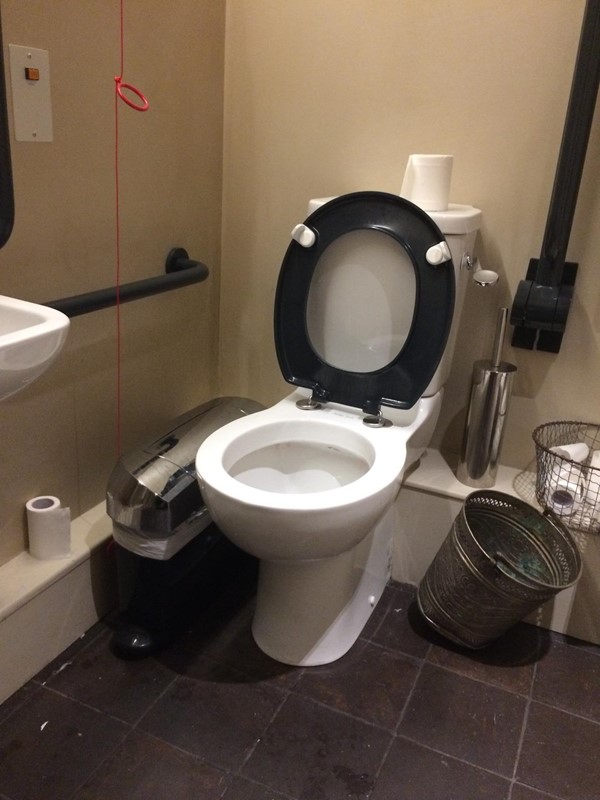 Photo of the accessible toilet.