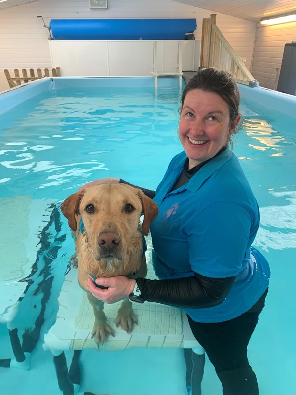 H2O Canine Therapy