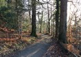 Path along lakeshore 