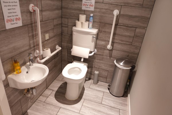 Image of one side of the disabled toilet room showing the toilet and sink.