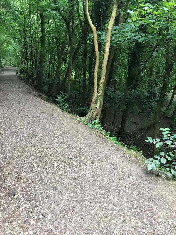 Picture of  Loggerheads Country Park, Mold