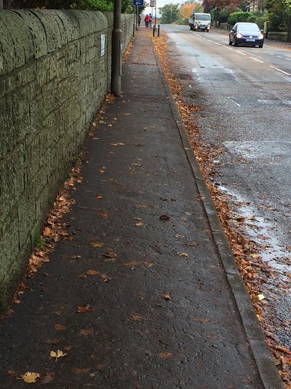 footpath outside the entrance gates. This is quite narrow.